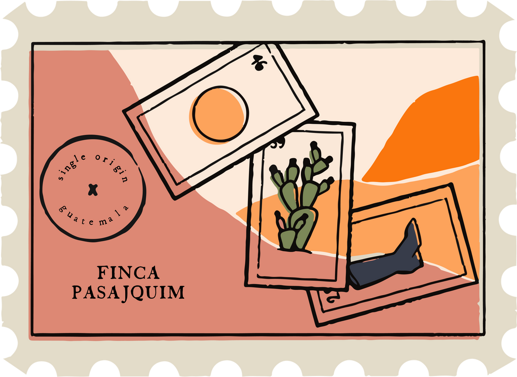 Guatemala Finca Pasajquim