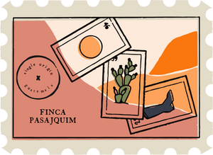 Guatemala Finca Pasajquim